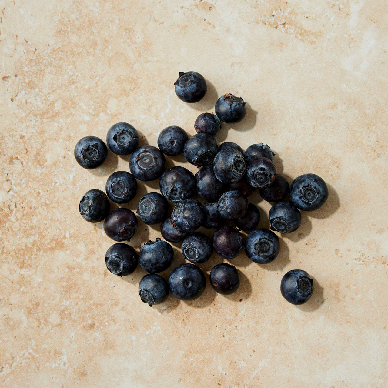 Couple feeding puppop to their small dog