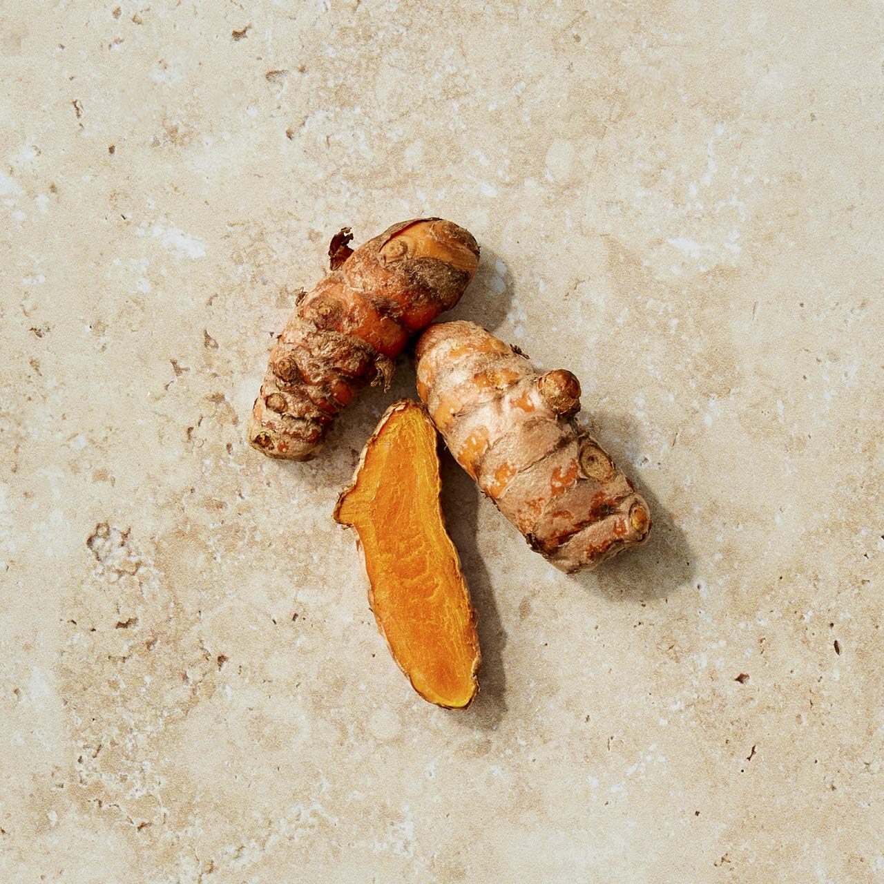 Couple feeding puppop to their small dog