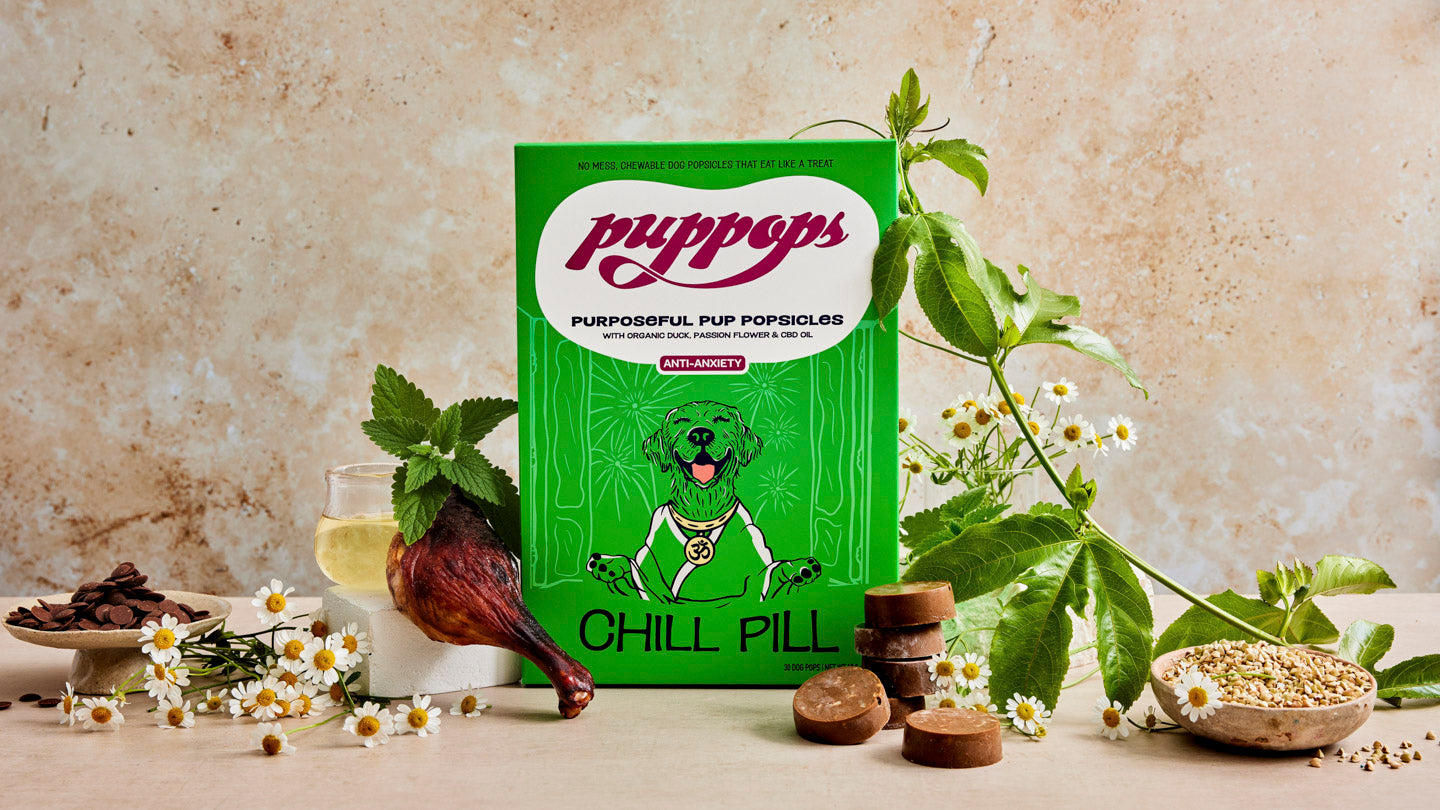 Young woman with her beloved dog