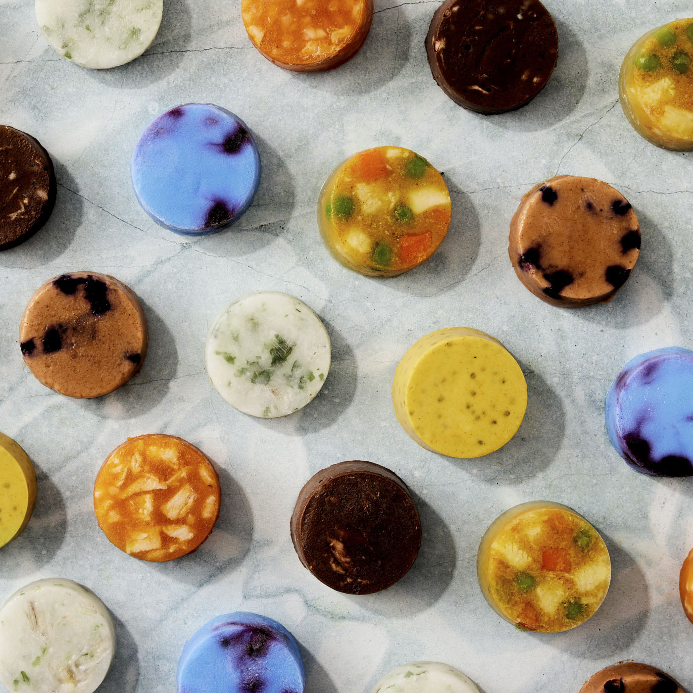 Couple feeding puppop to their small dog