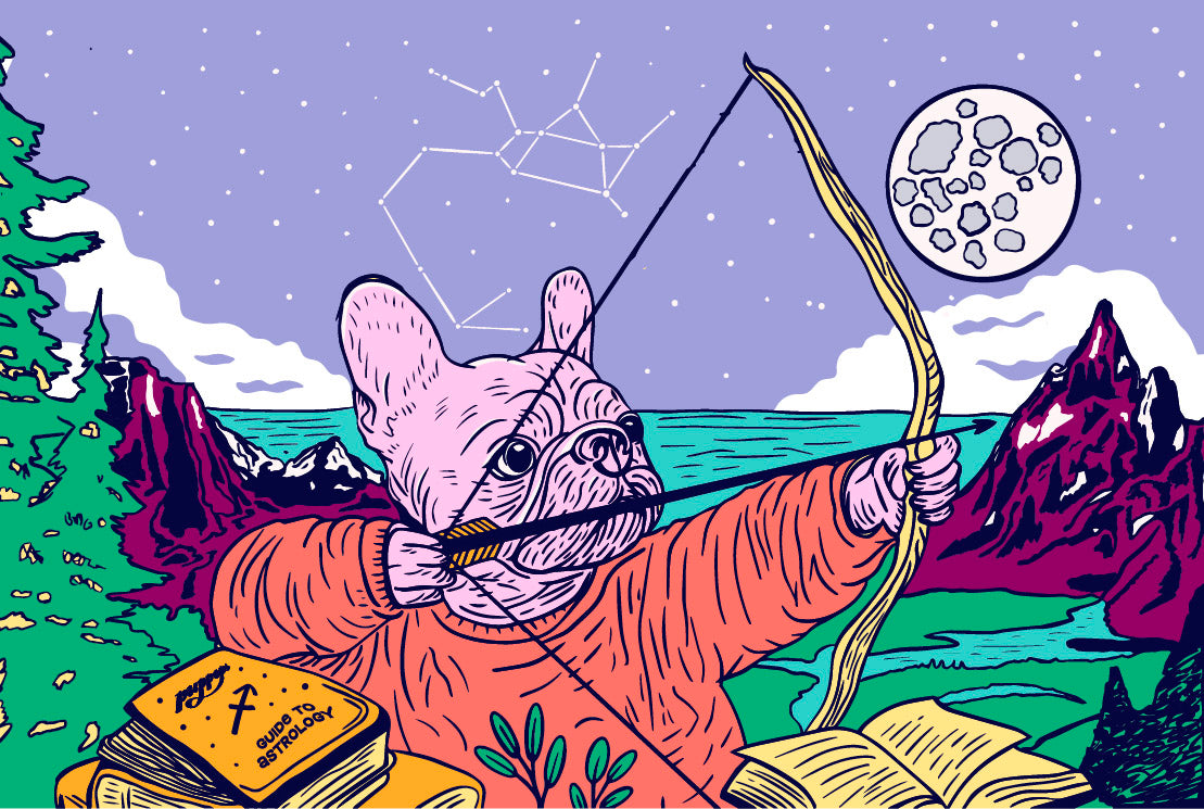 Dog on hind legs eating a puppops purposeful dog popsicle