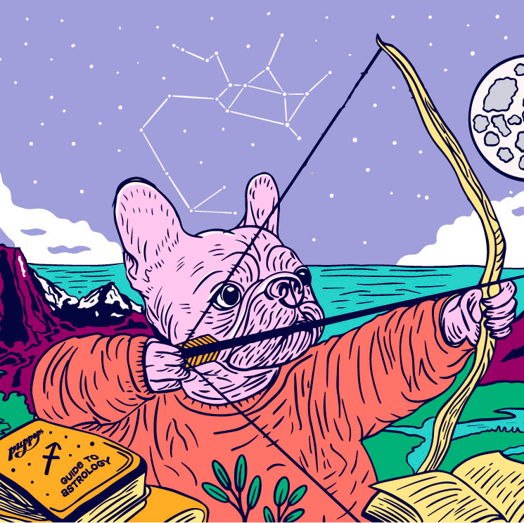 Couple feeding puppop to their small dog