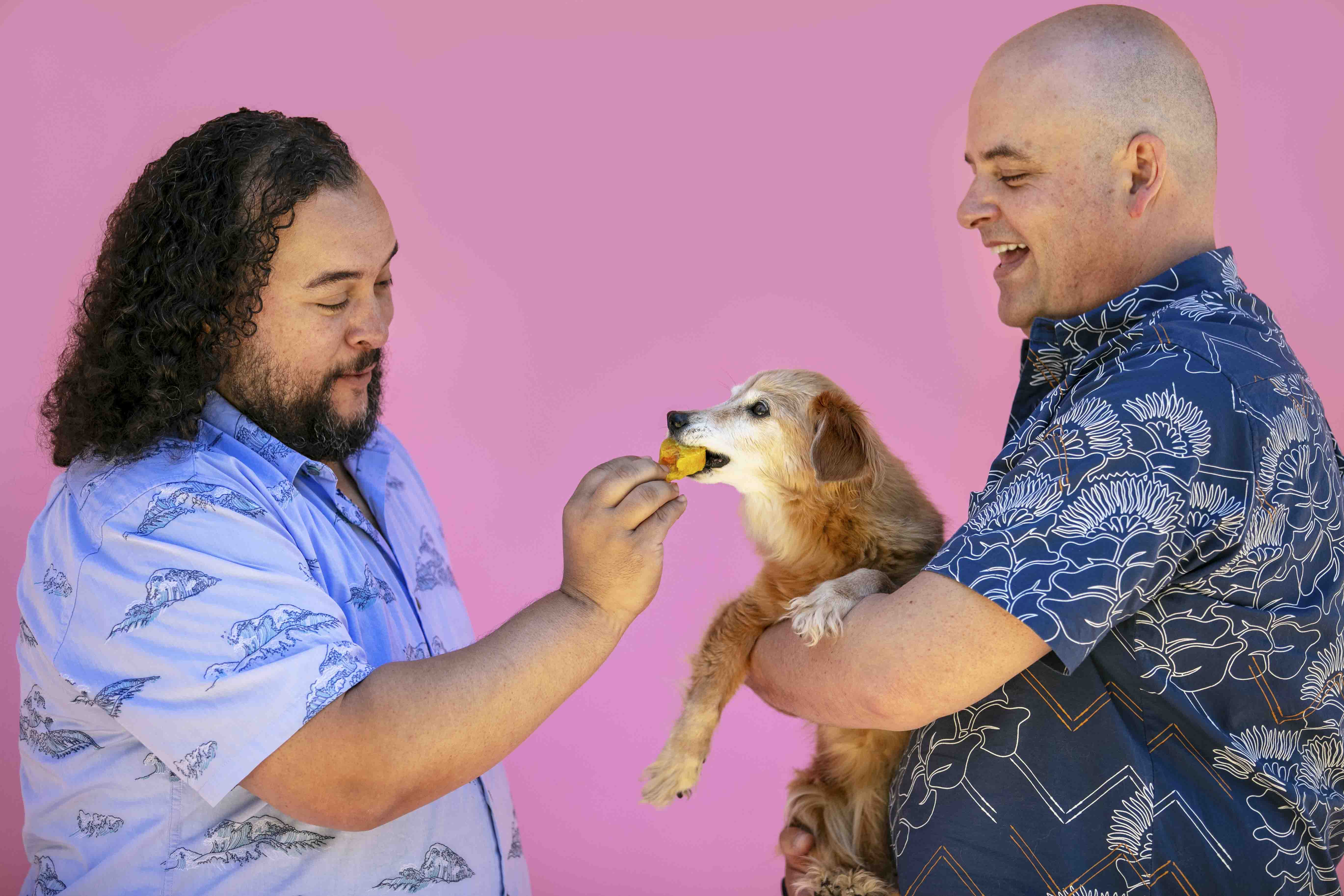 Couple feeding puppop to their small dog